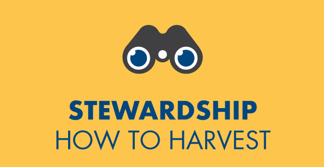 Stewardship - How to Harvest